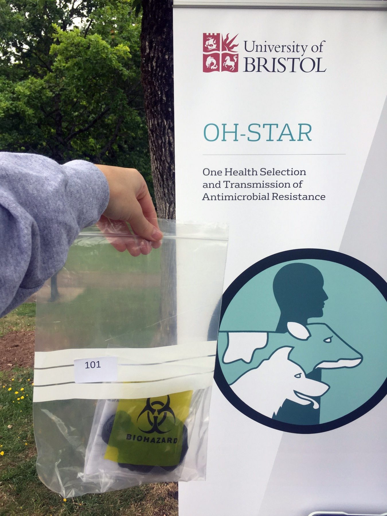OH-STAR-cropped.jpg#asset:7076 OH-STAR-cropped.jpg#asset:7076